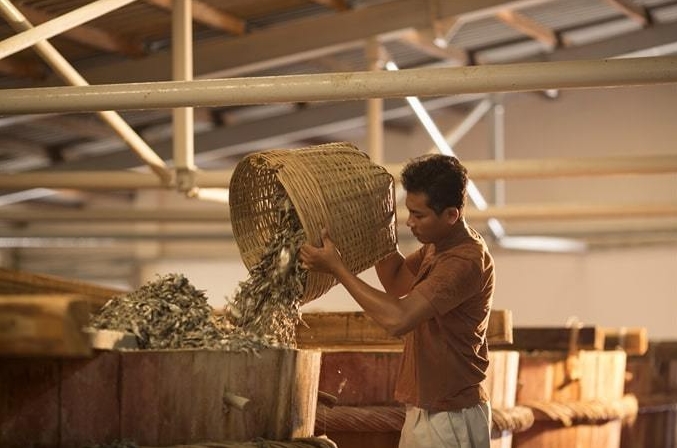 푸꾸옥 느억맘(피쉬소스) 공장