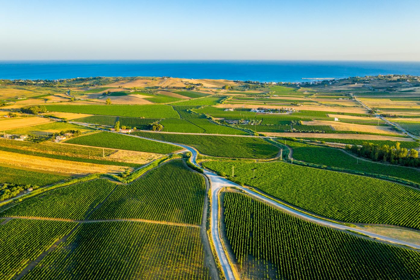 시칠리아 와이너리  sicily winery