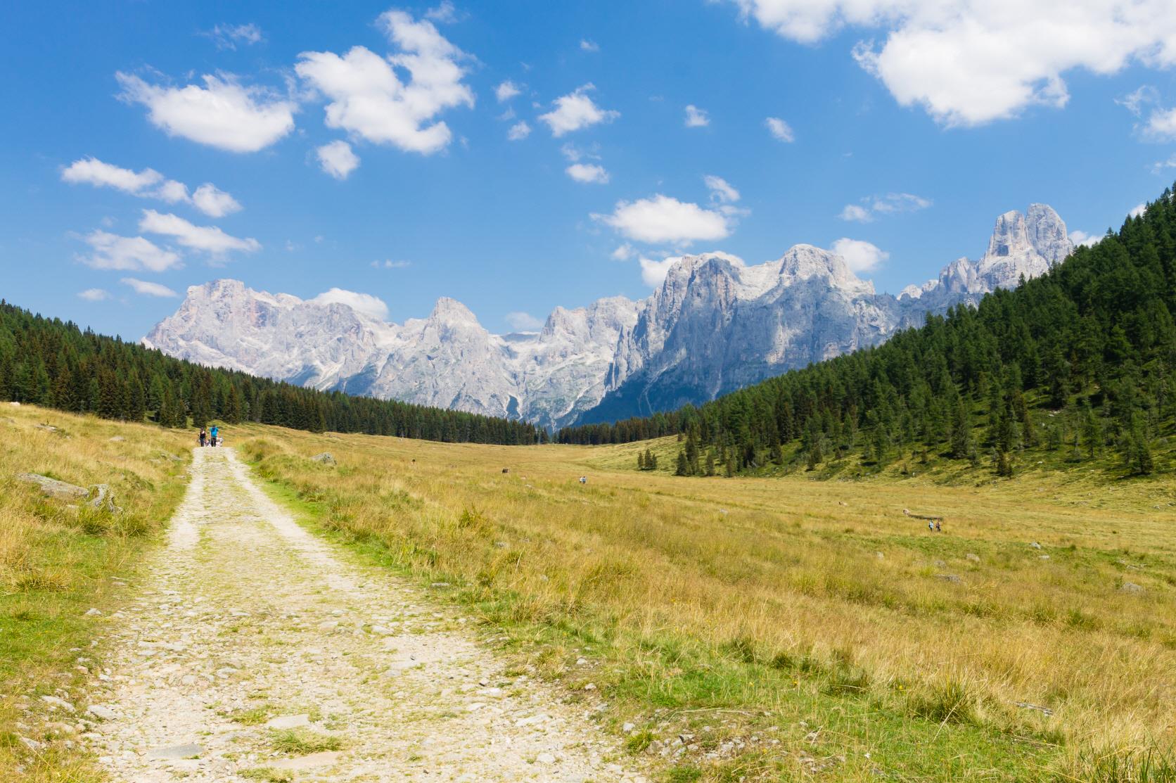 팔레 디 산 마르티노 트레킹  Pale di San Martino