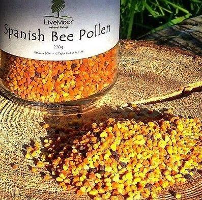 비폴렌  Bee Pollen