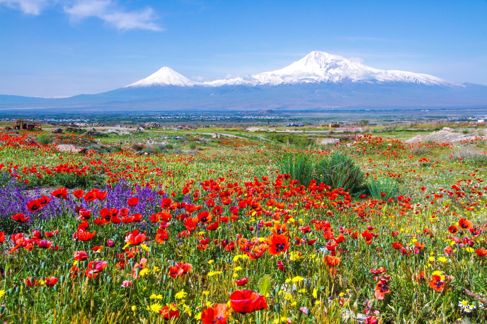 아라라트 산  Ararat Mountain