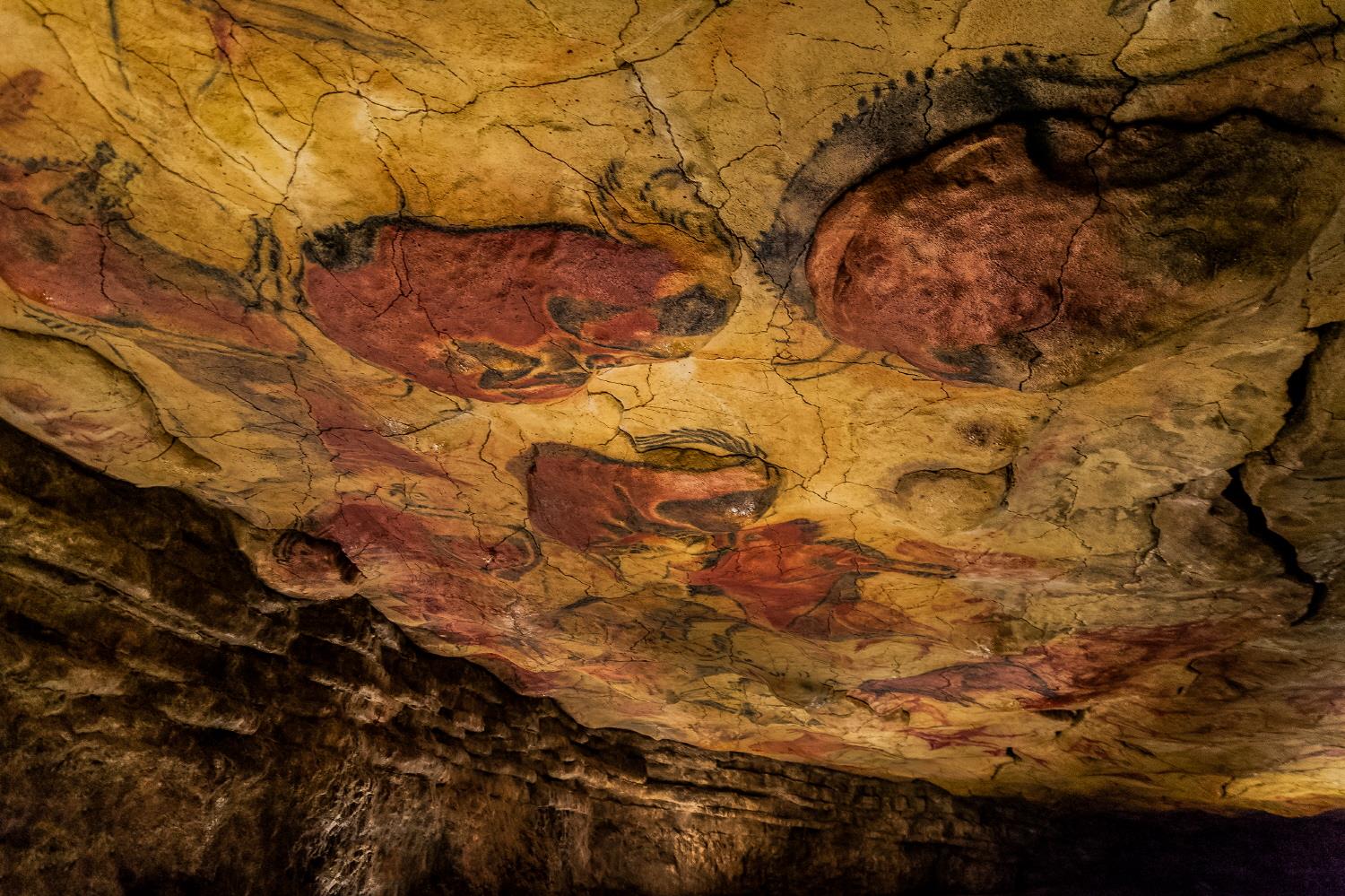 알타미라동굴 박물관  cueva de Altamira museum