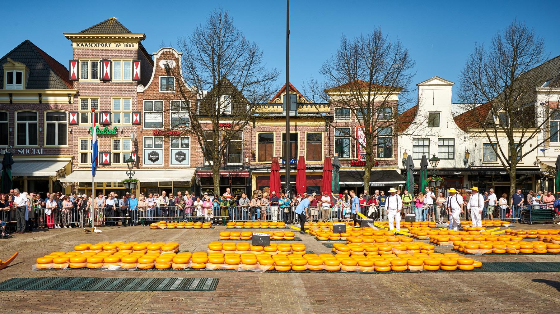 알크마르 치즈 시장  Alkmaar Cheese Market