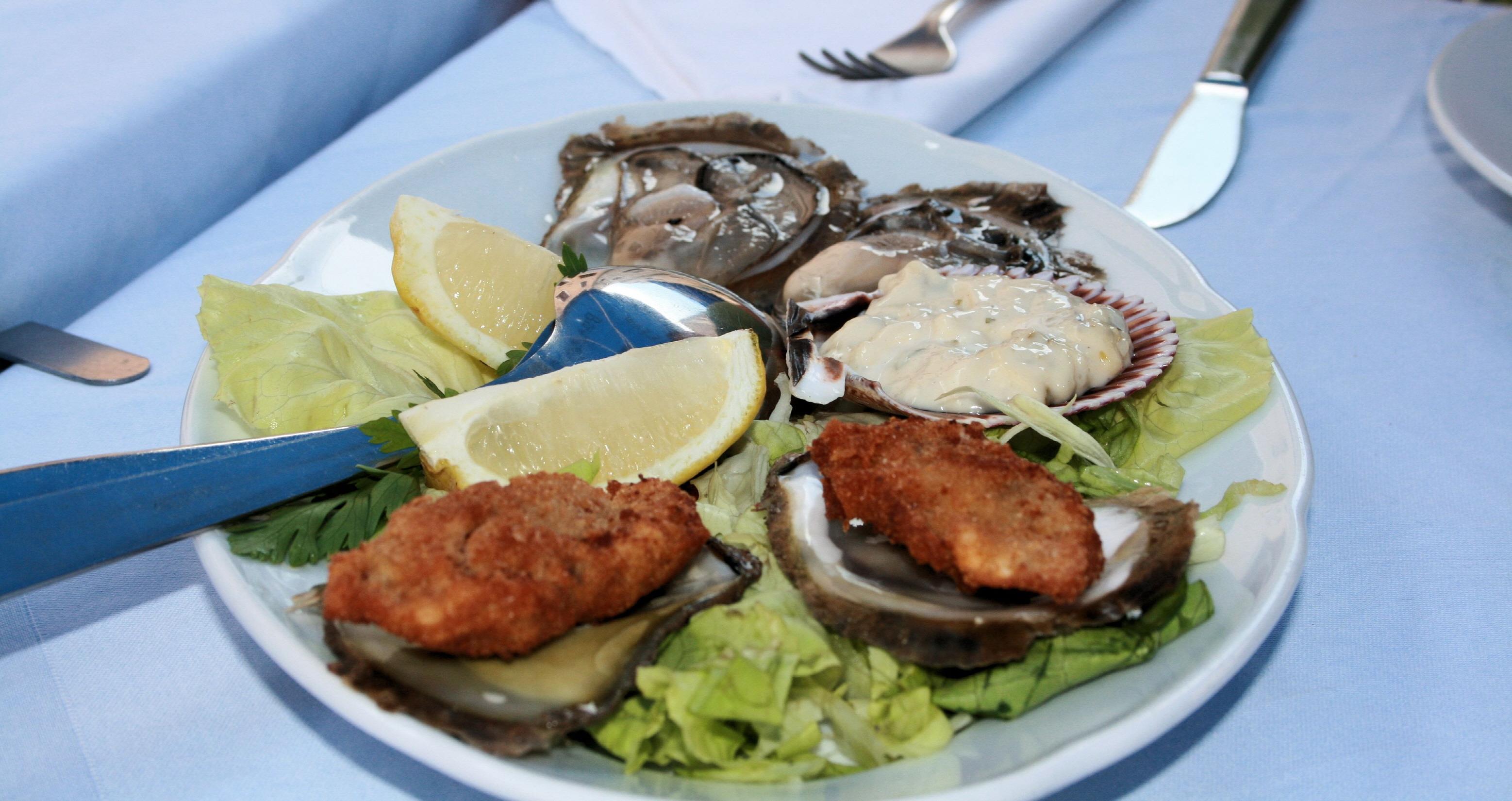 크로아티아 생굴  Oysters