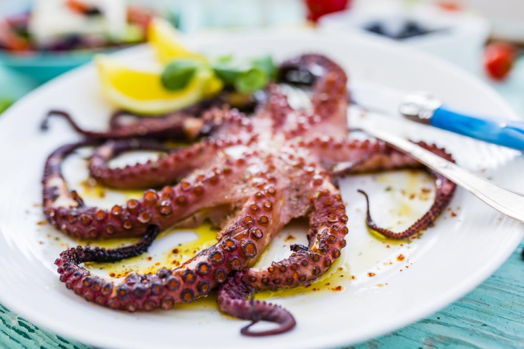 옥토푸스  Octopus Greek style