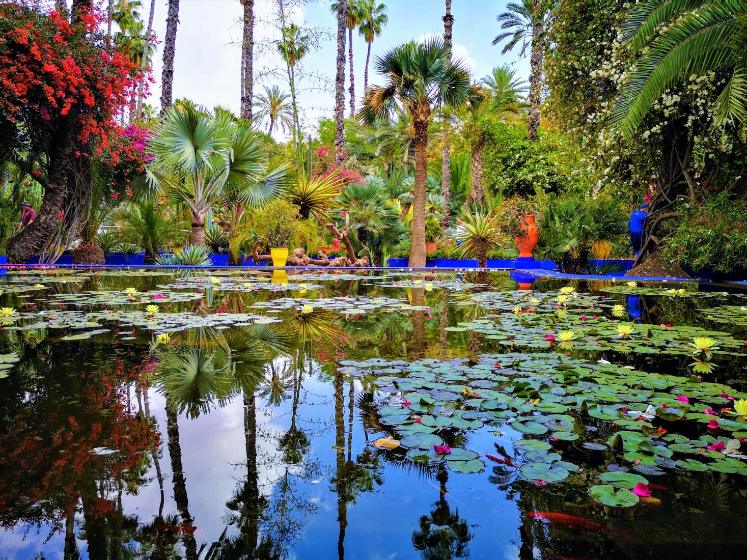 마조렐 정원  Jardin Majorelle