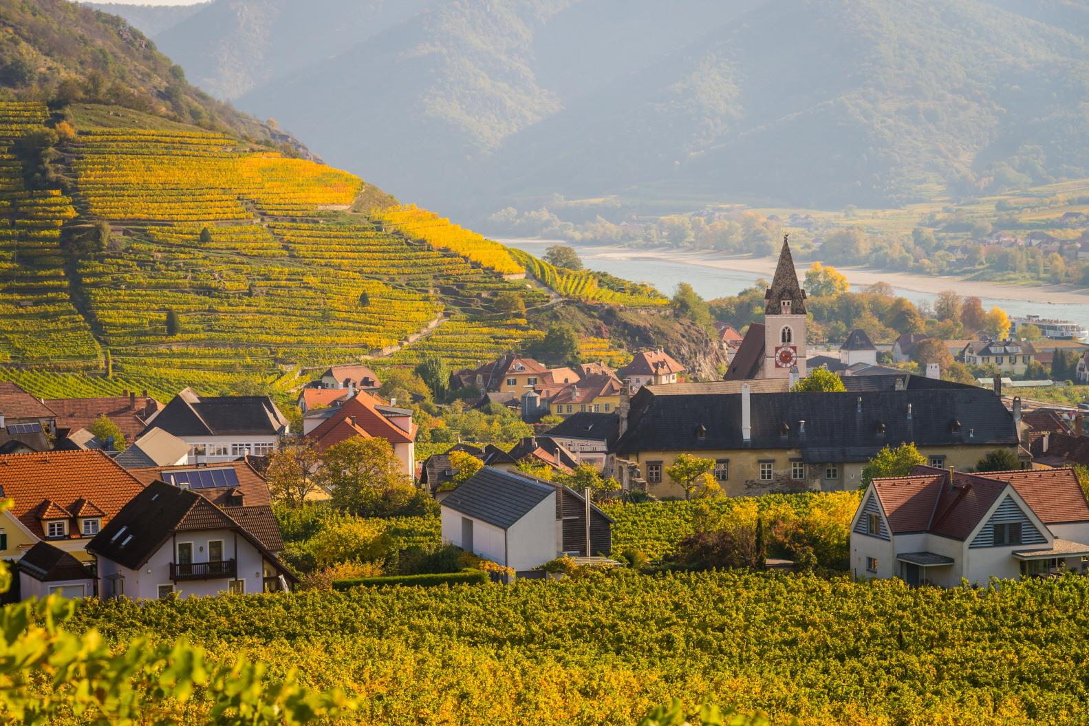 바카우 와이너리  Wachau winery