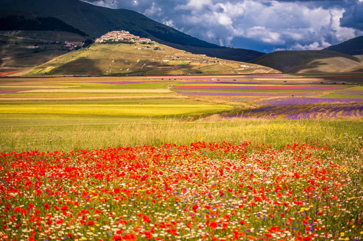 카스텔루쵸 평원  Castelluccio di Norcia