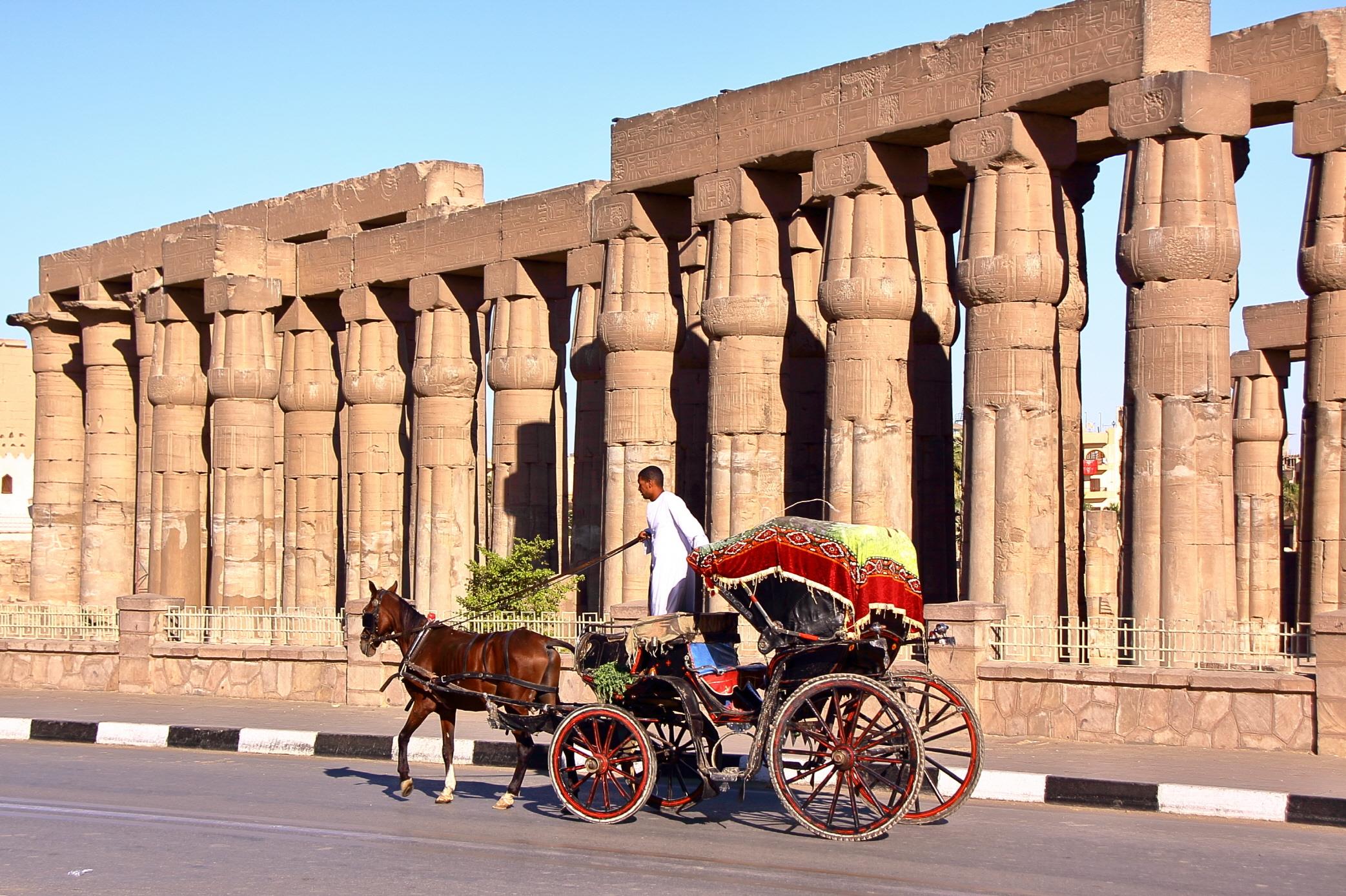 룩소 마차  Luxor Horse-Drawn Carriage