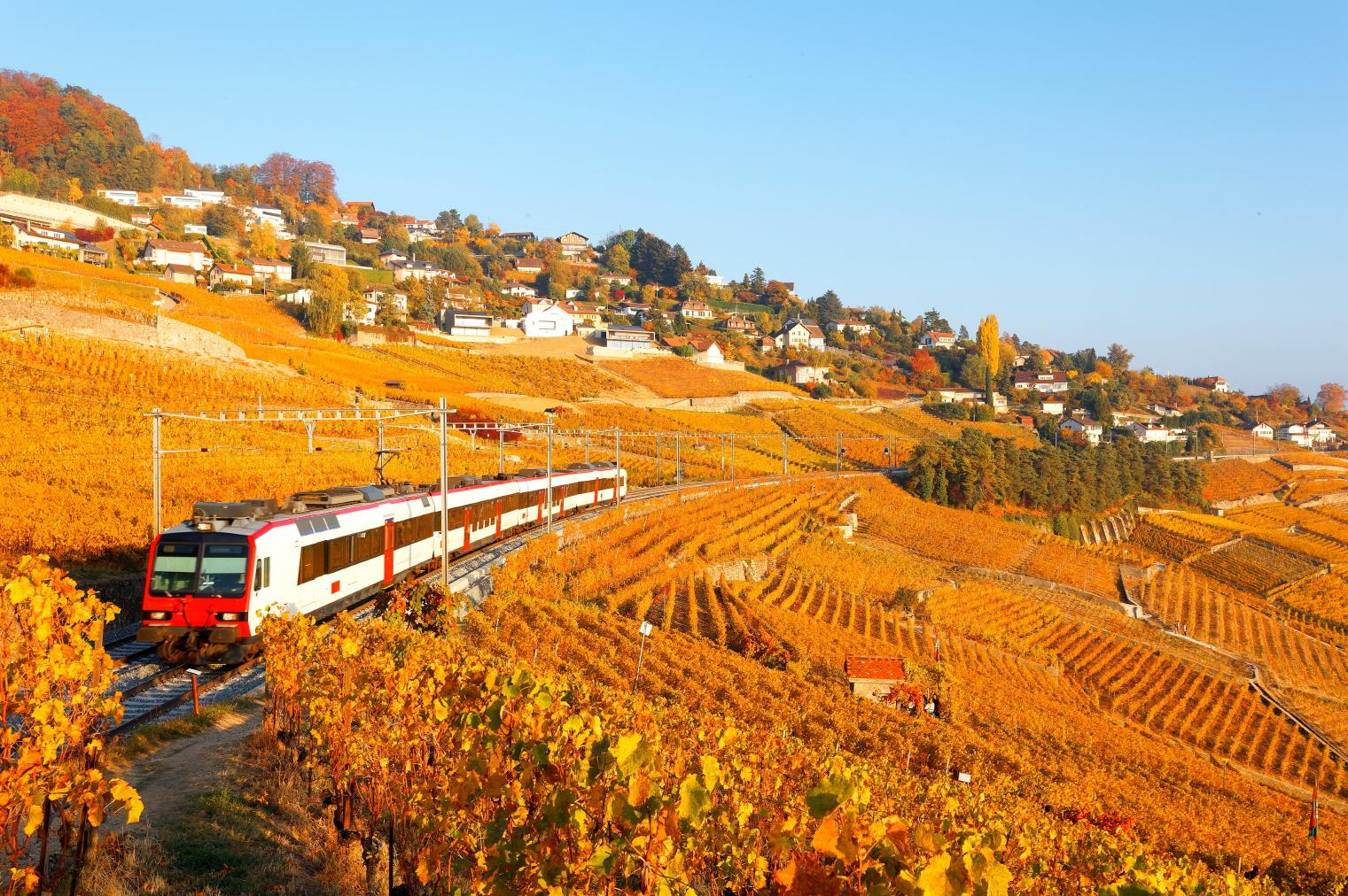 라보 와이너리  Lavaux winery