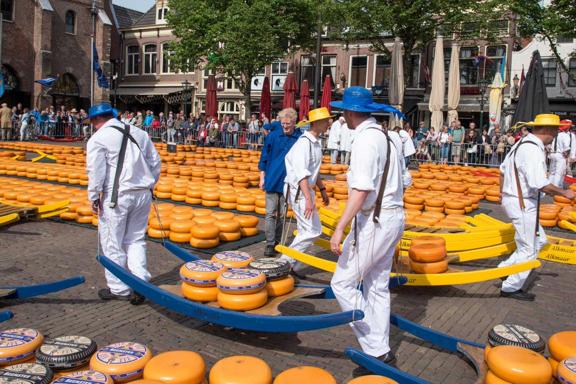 알크마르 치즈 시장  Alkmaar Cheese Market