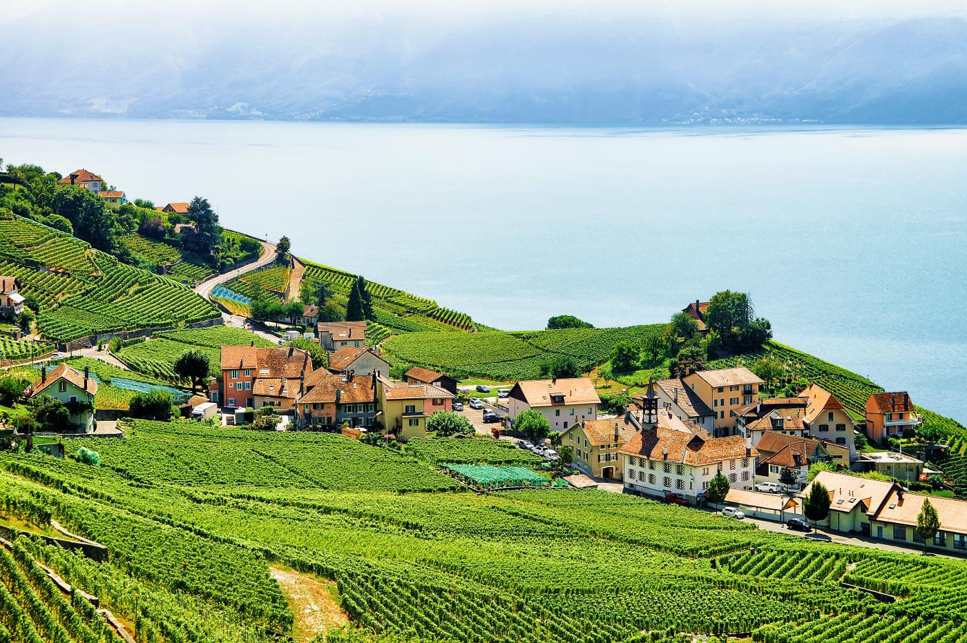 라보 와이너리  Lavaux winery