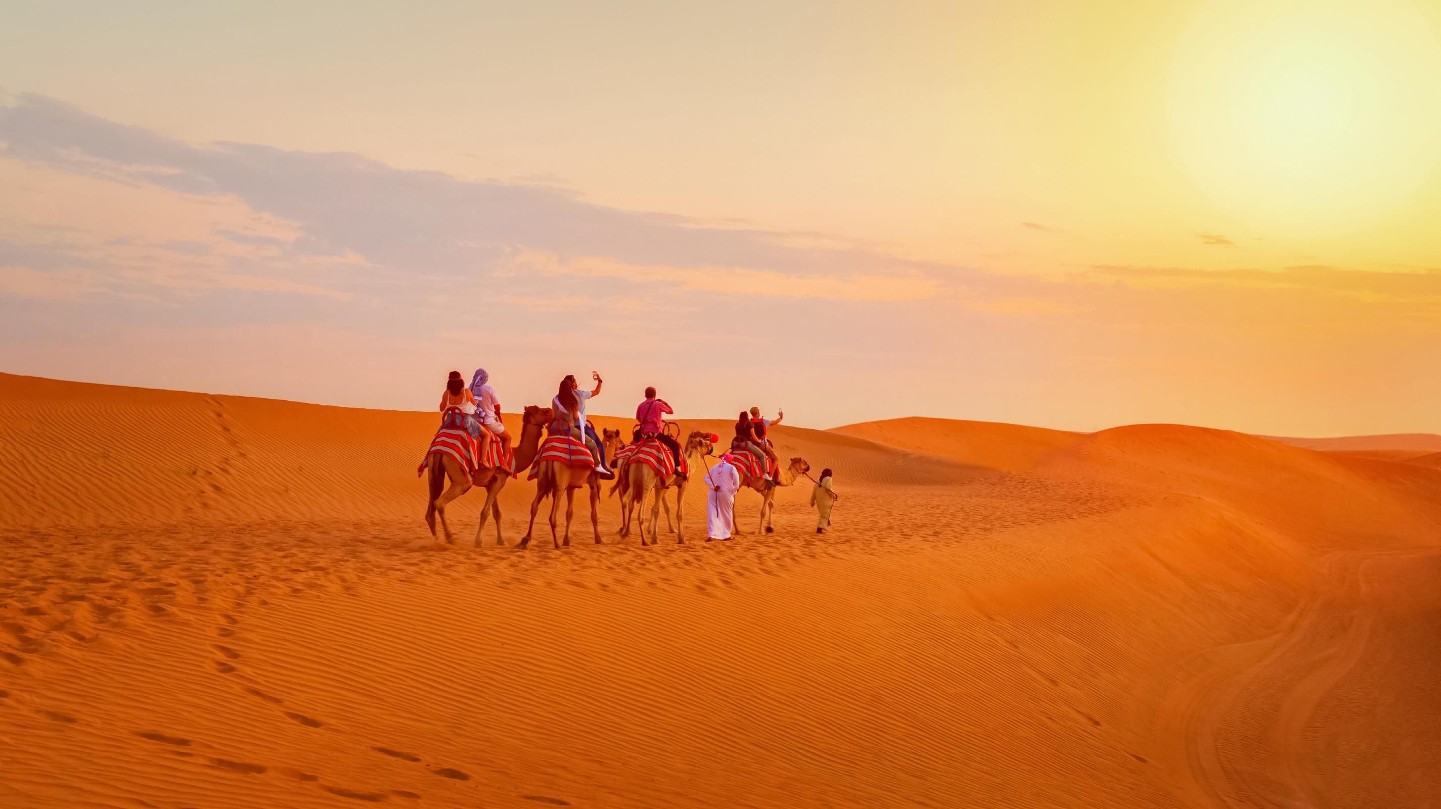 사막사파리 낙타투어  Dubai Desert Safari Tour