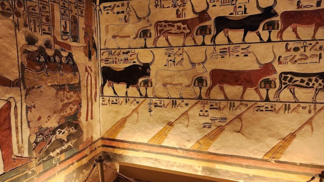 네페르타리 무덤과 왕비의 계곡  Nefertaris Tomb-Valley of the Queens