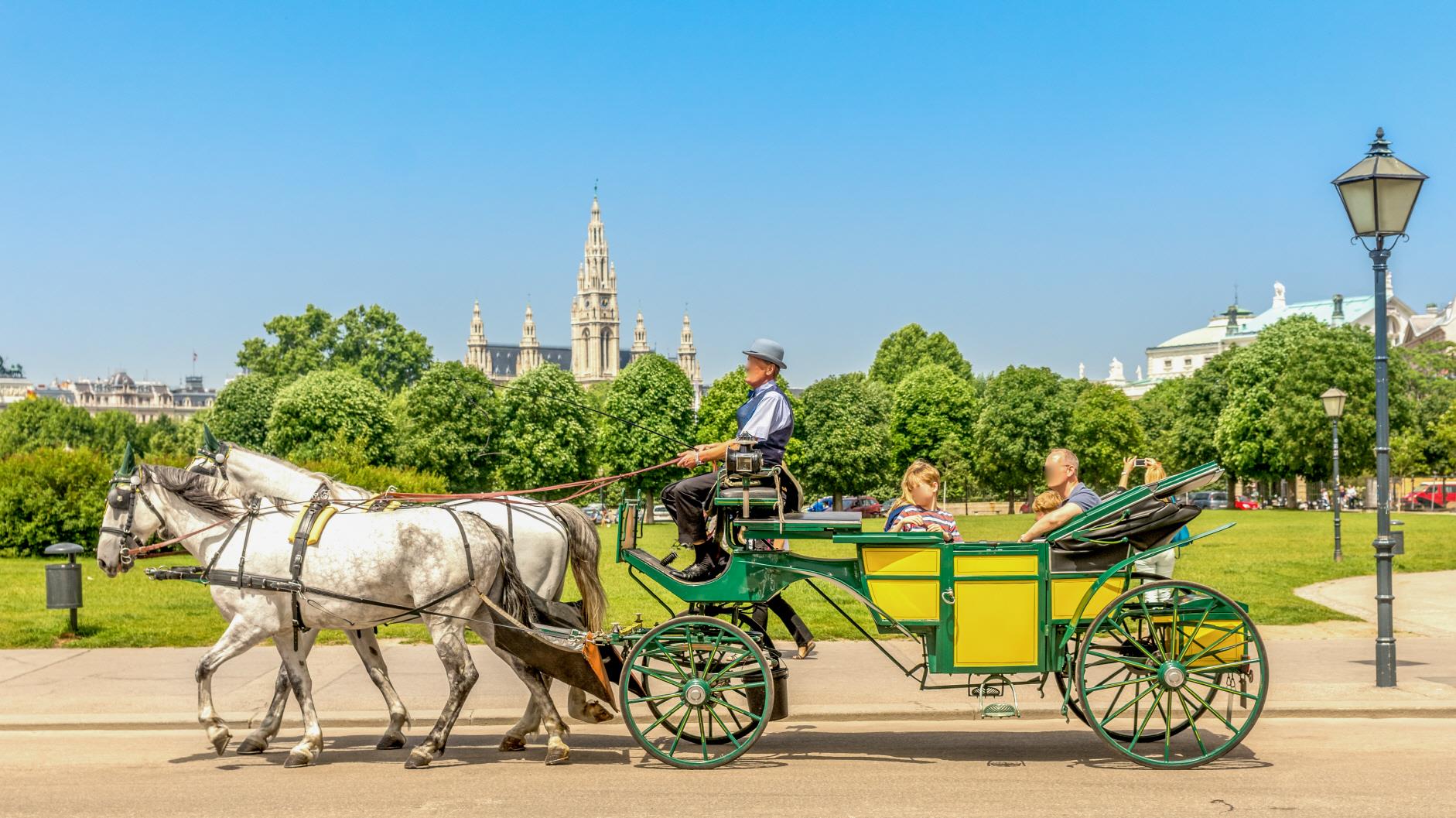 비엔나 왕궁마차 체험  Vienna royal carriage tour