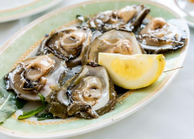 크로아티아 생굴  Oysters