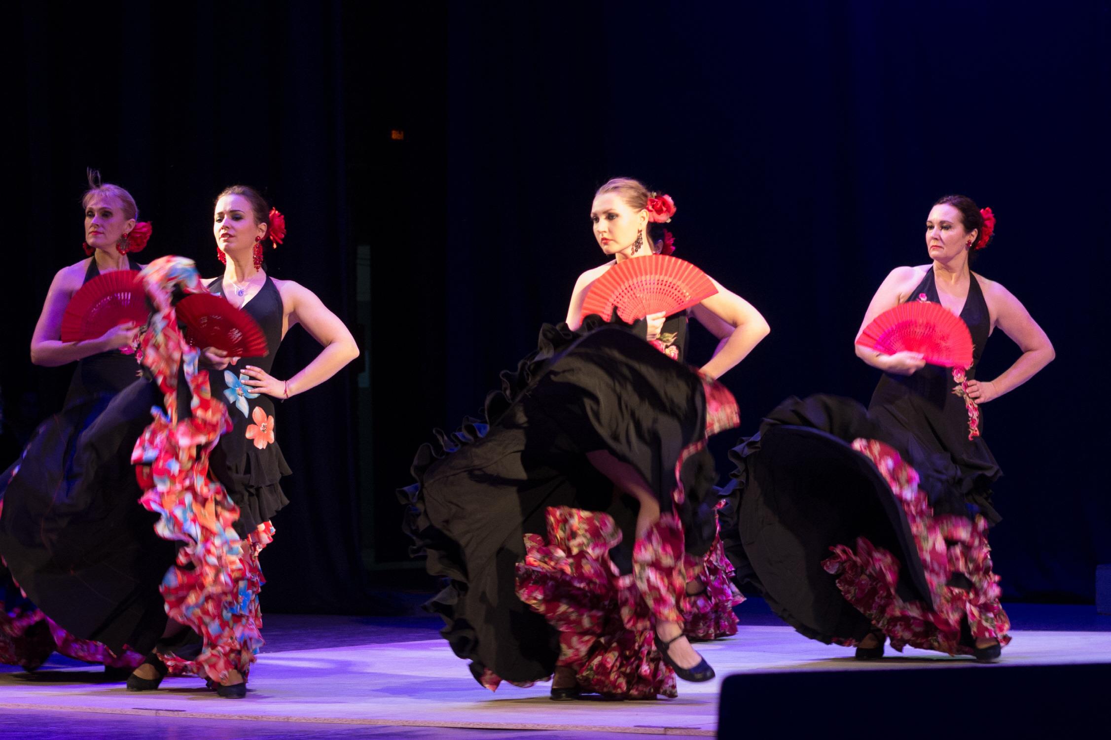 플라멩코 쇼  Flamenco Show
