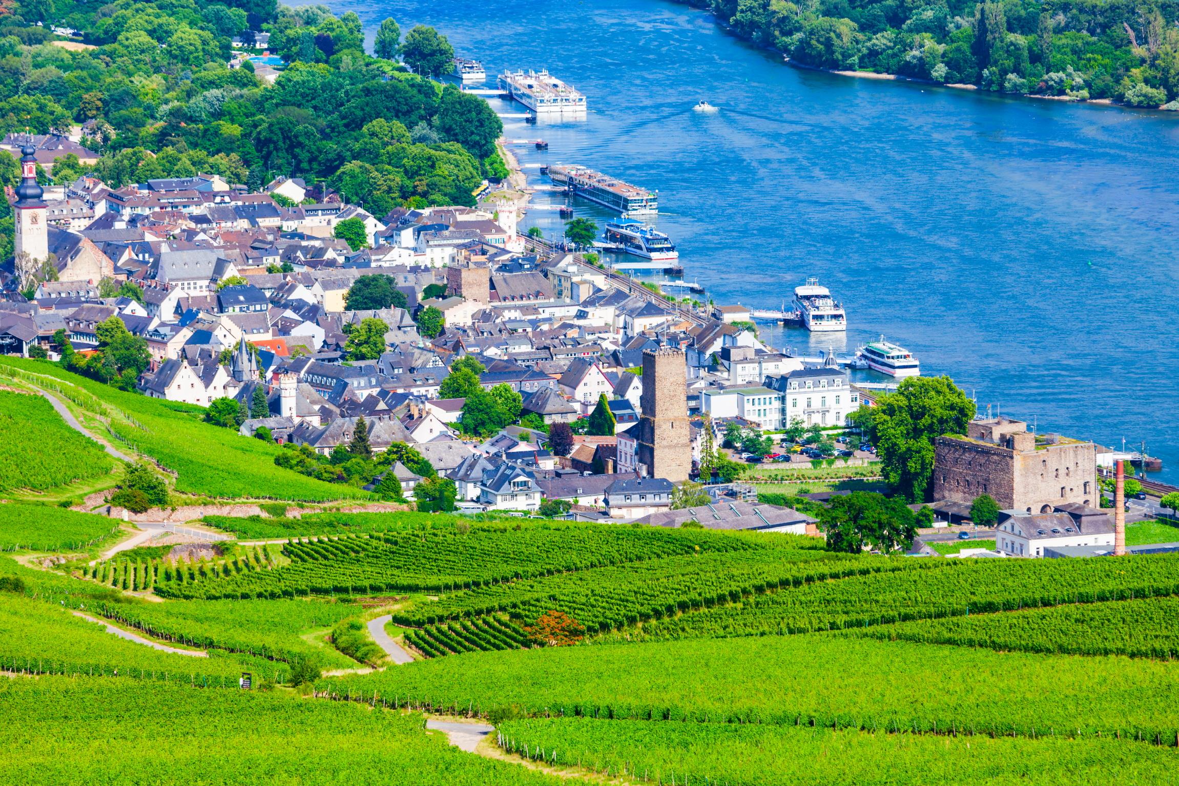 뤼데스하임 마을  RUDESHEIM AM RHEIN