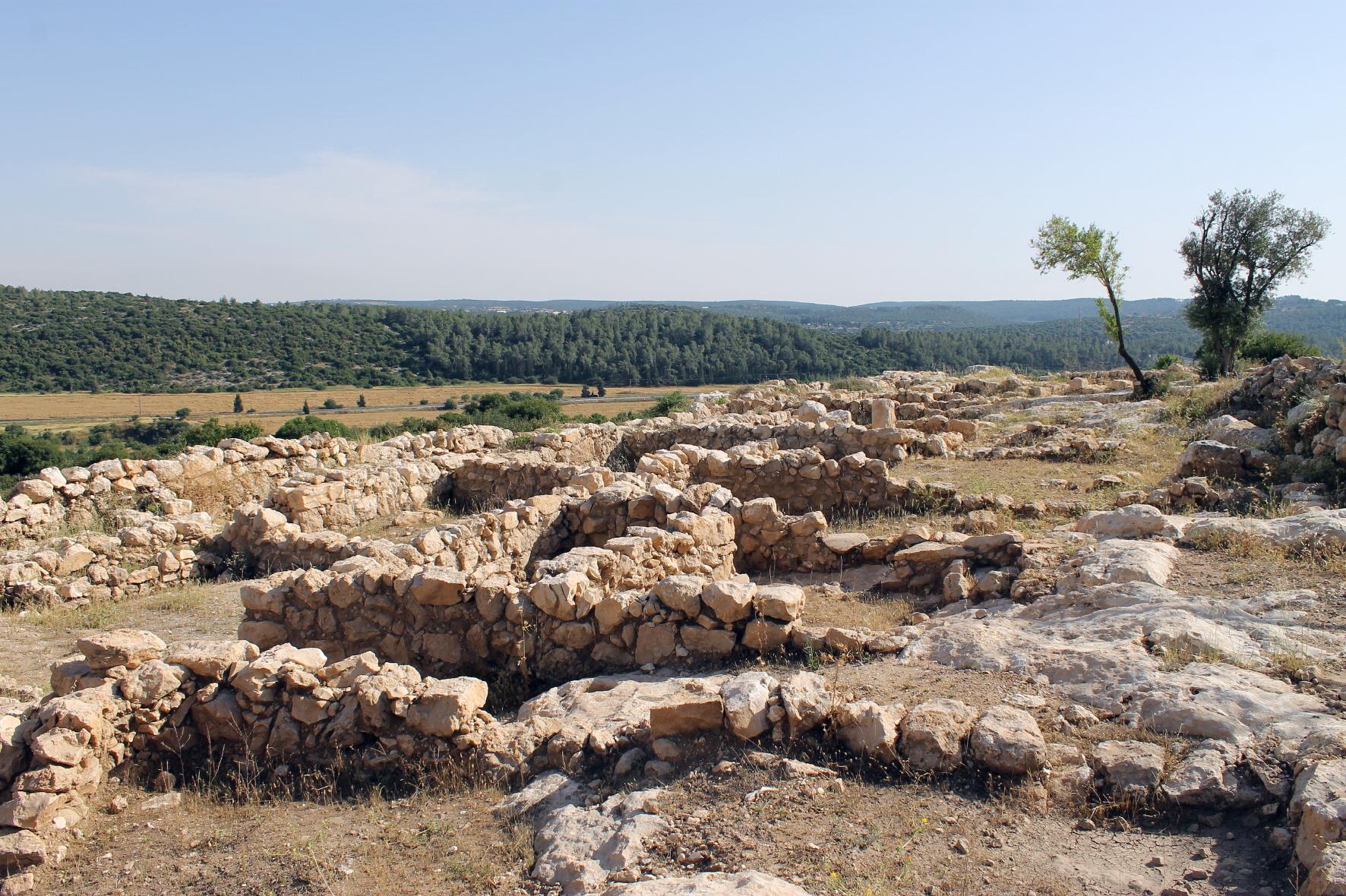 엘라 골짜기  Valley of Elah (Terebinths)