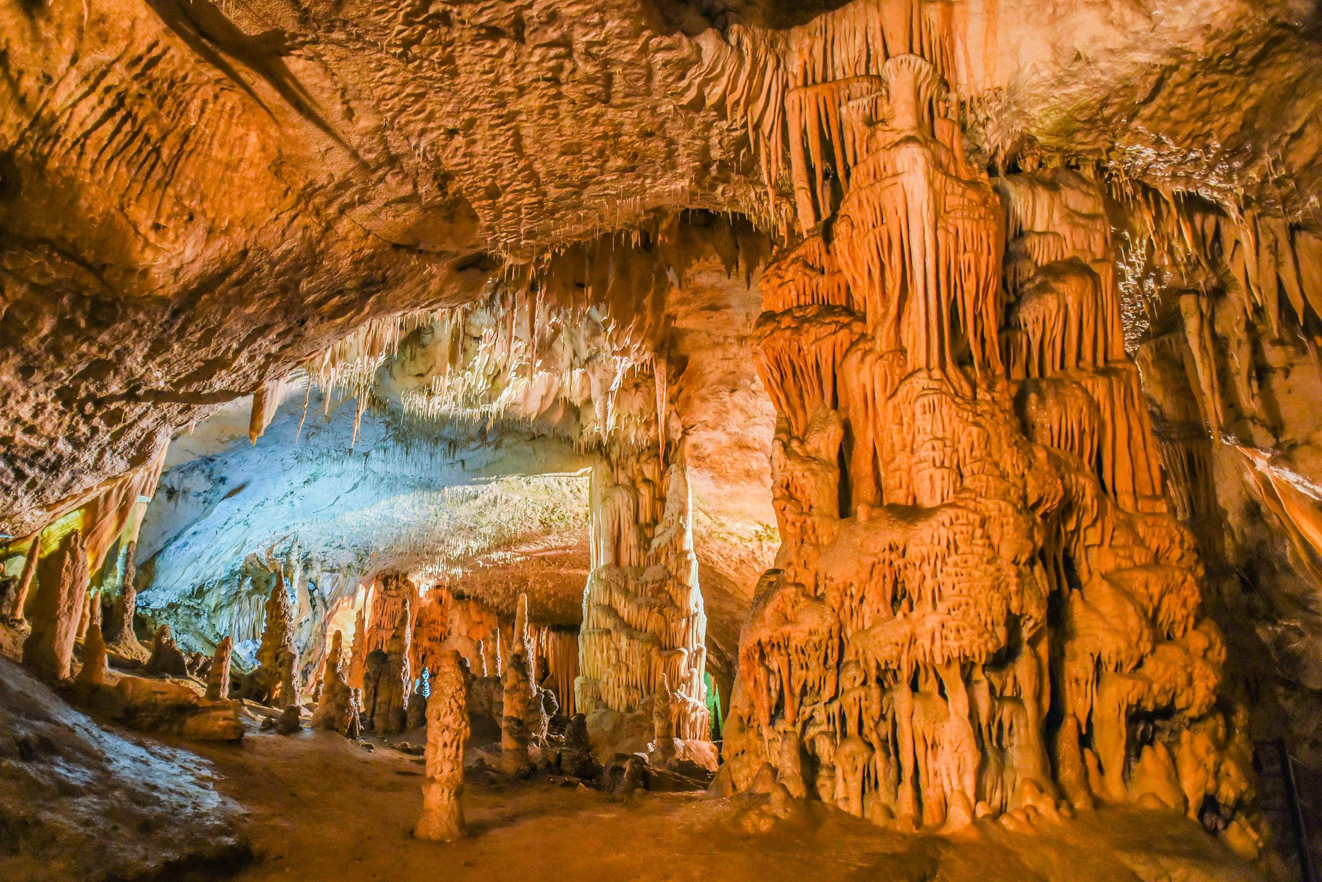 포스토이나 동굴  Postojna Cave