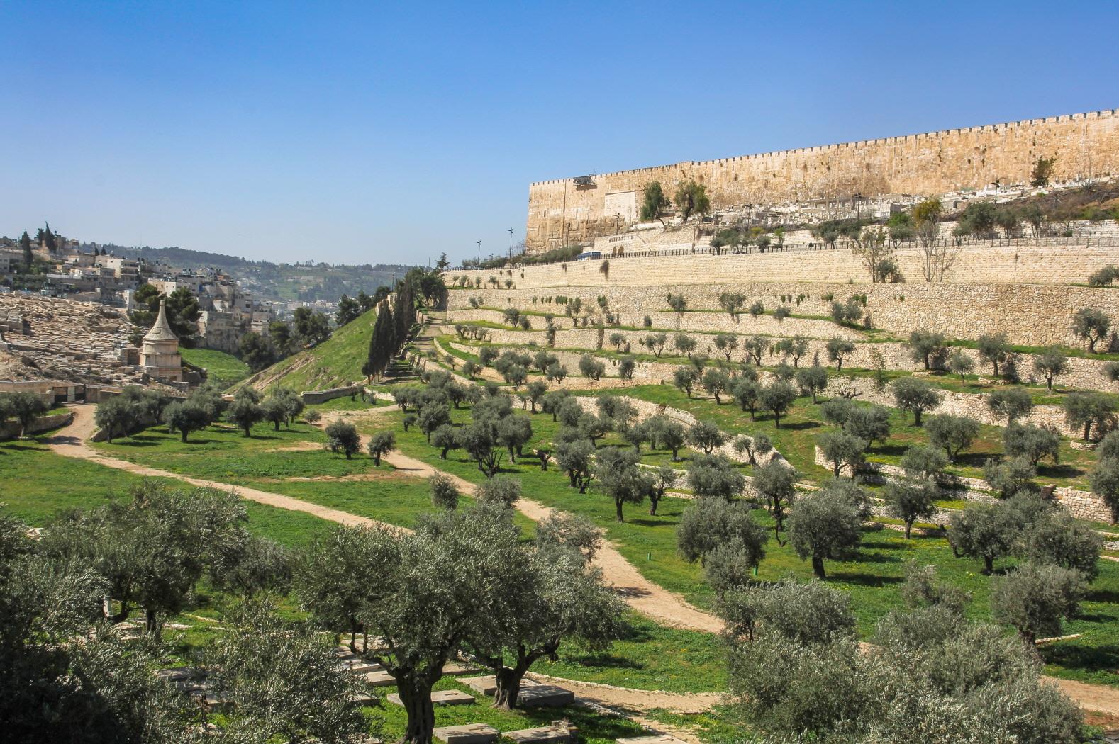 기드론 골짜기  Kidron Valley