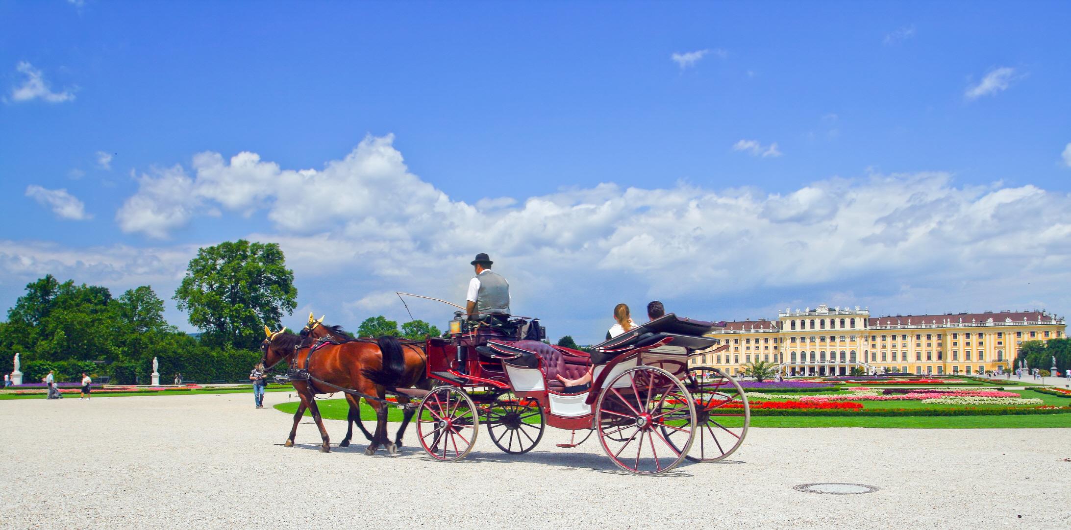 비엔나 왕궁마차 체험  Vienna royal carriage tour
