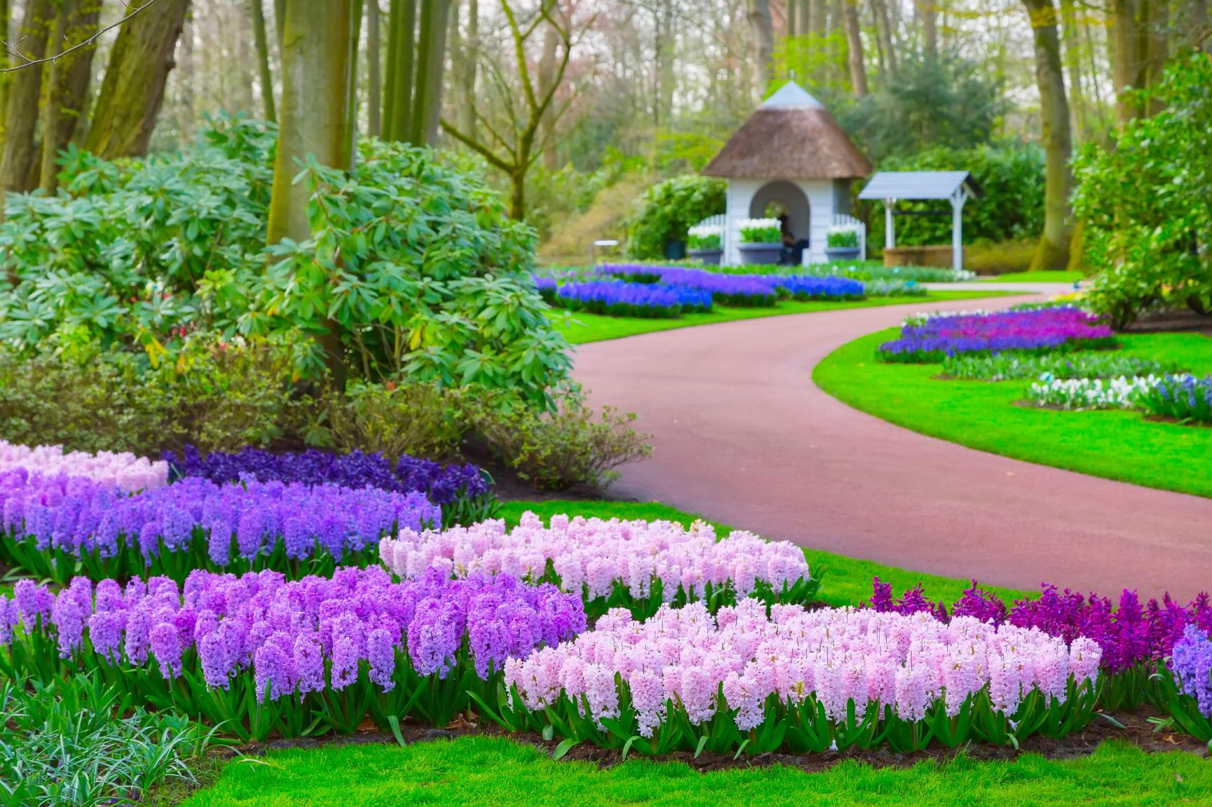 큐켄호프 공원  keukenhof gardens