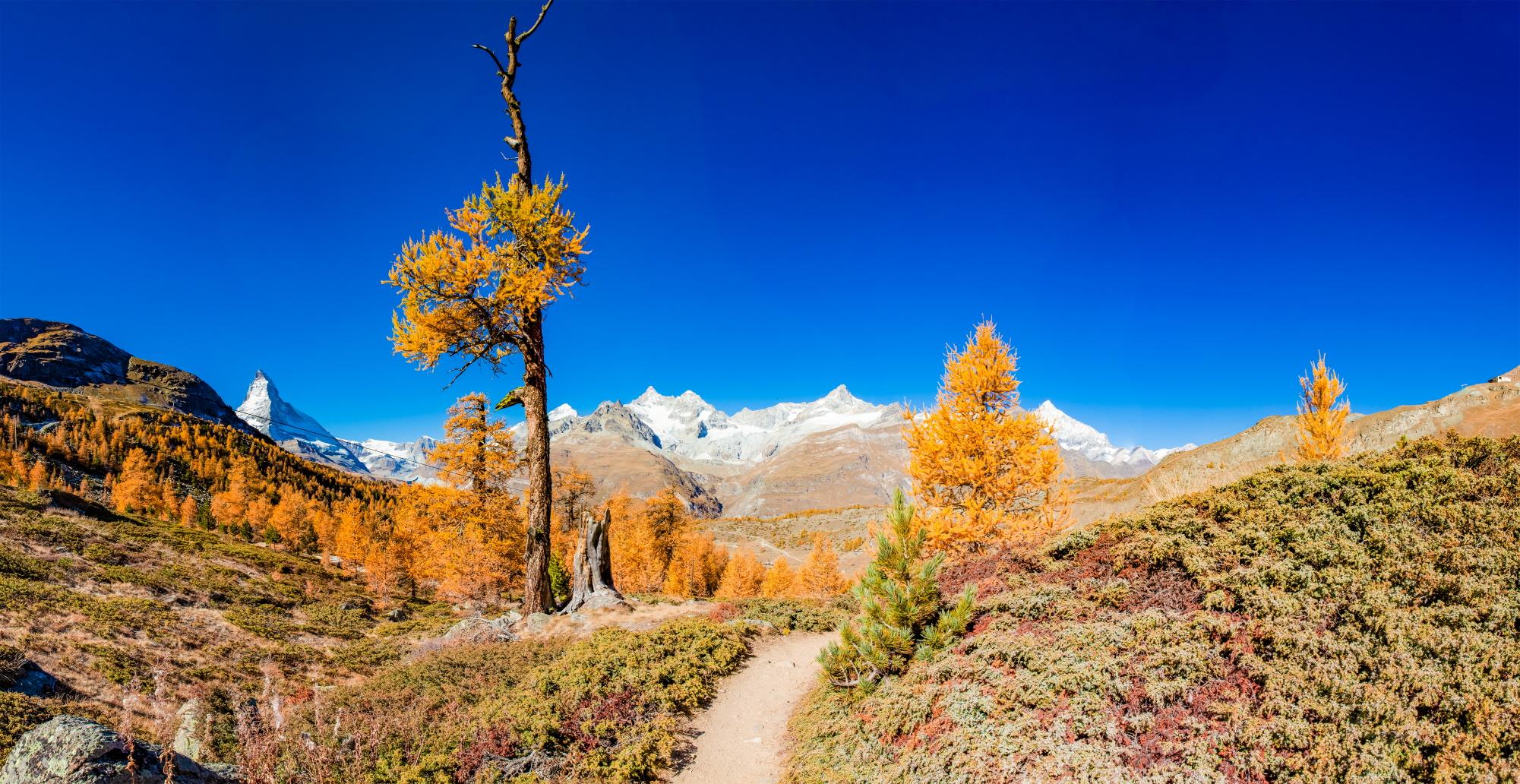 고르너그라트 트레킹  Gornergrat trekking