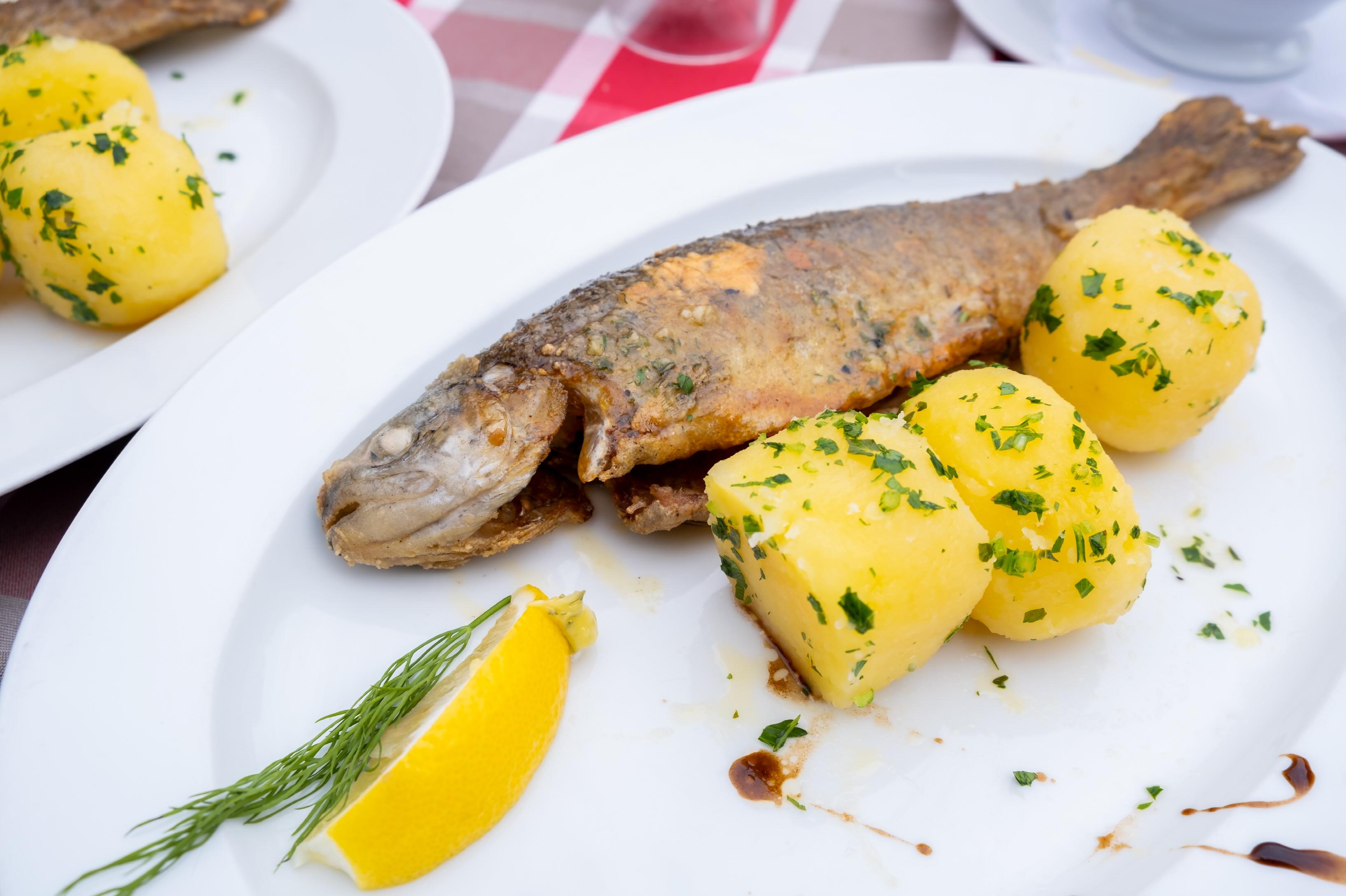 송어구이  Grilled trout