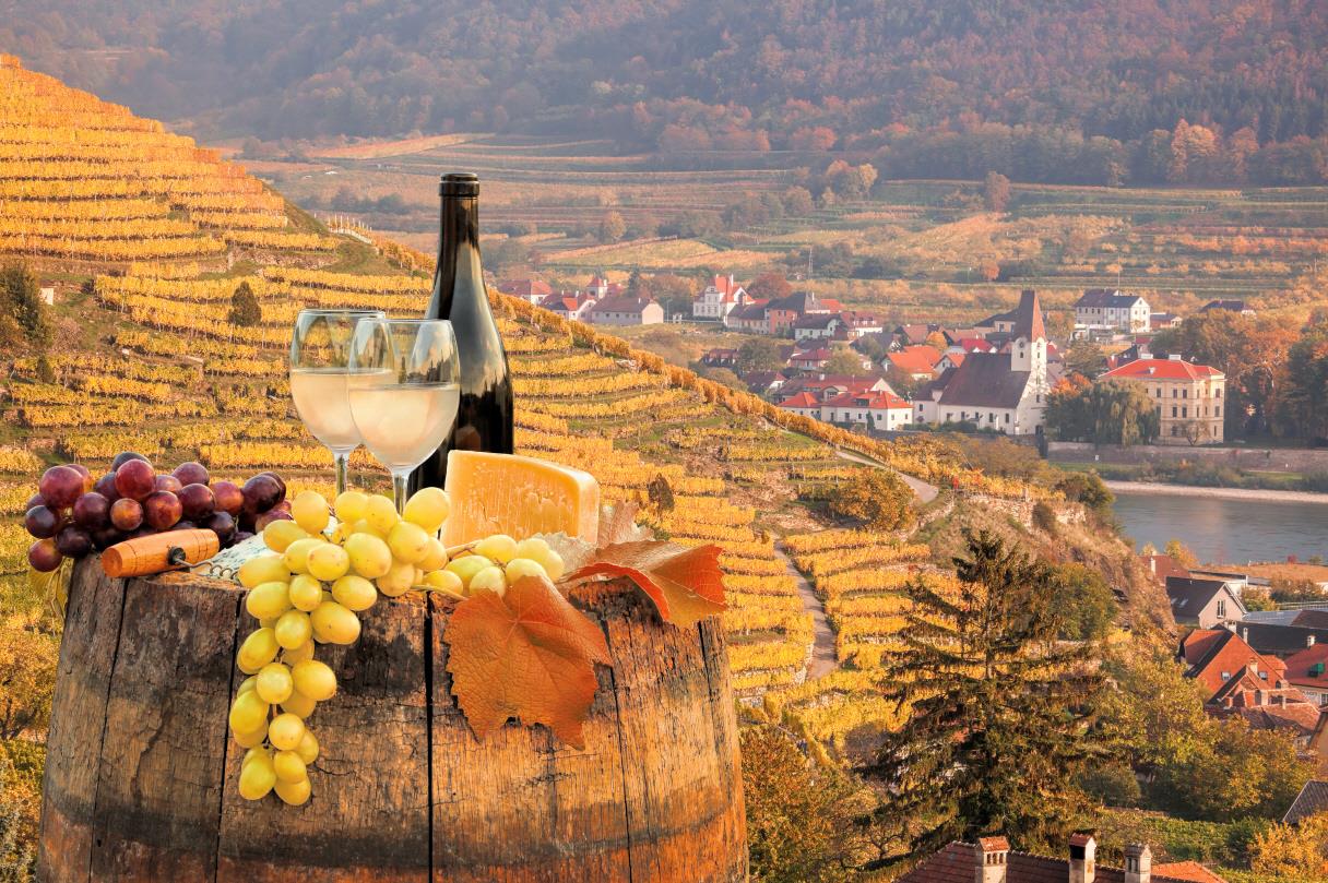 바카우 와이너리  Wachau winery