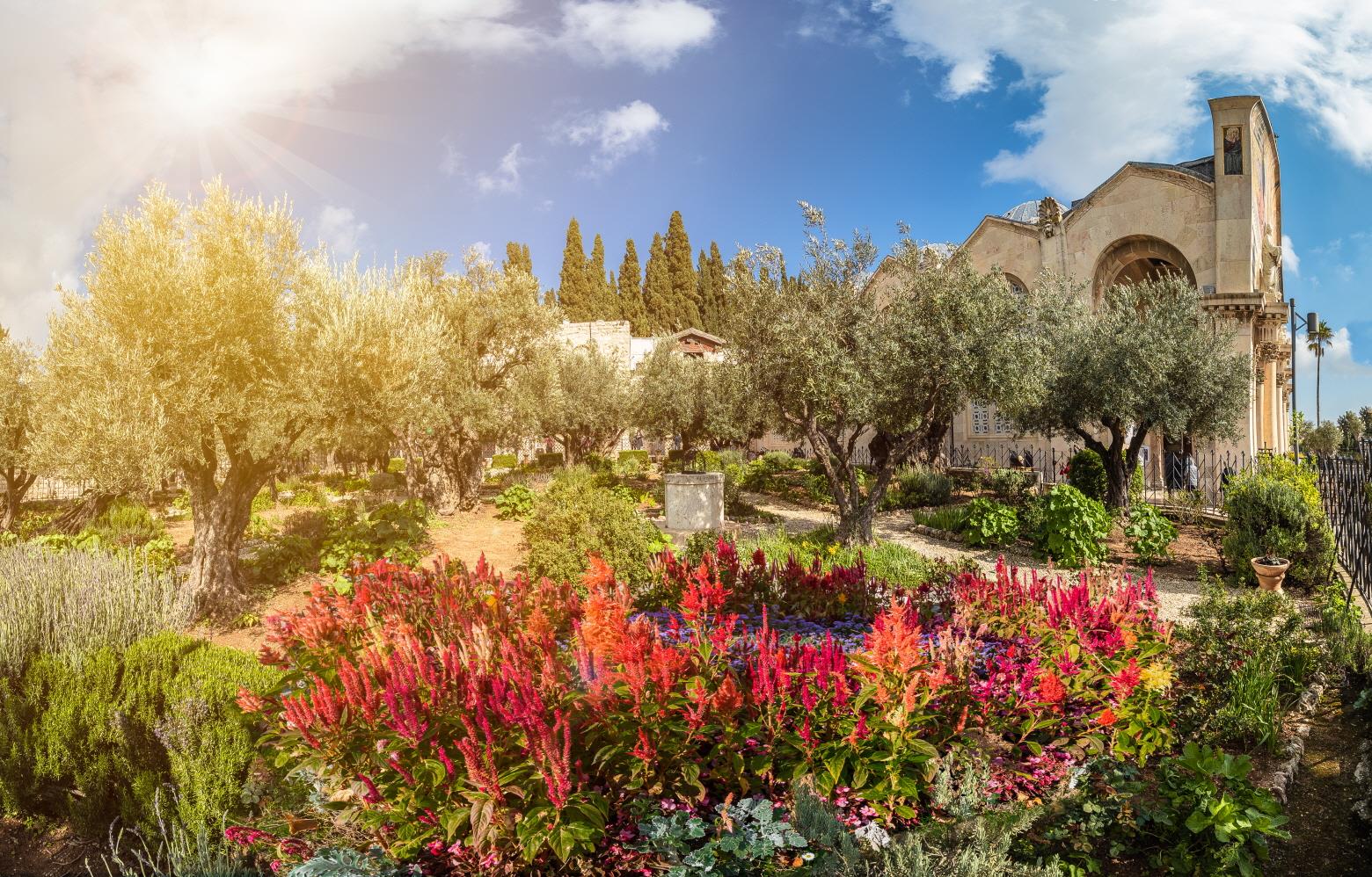 겟세마네 동산이 있는 감람산  Mount of Olives