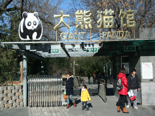 베이징 동물원
