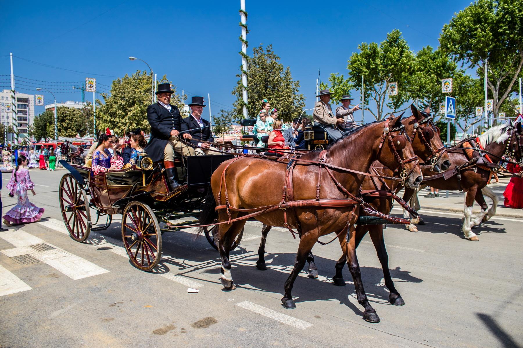 세비야 마차투어  Horse-drawn Carriage ride of Seville