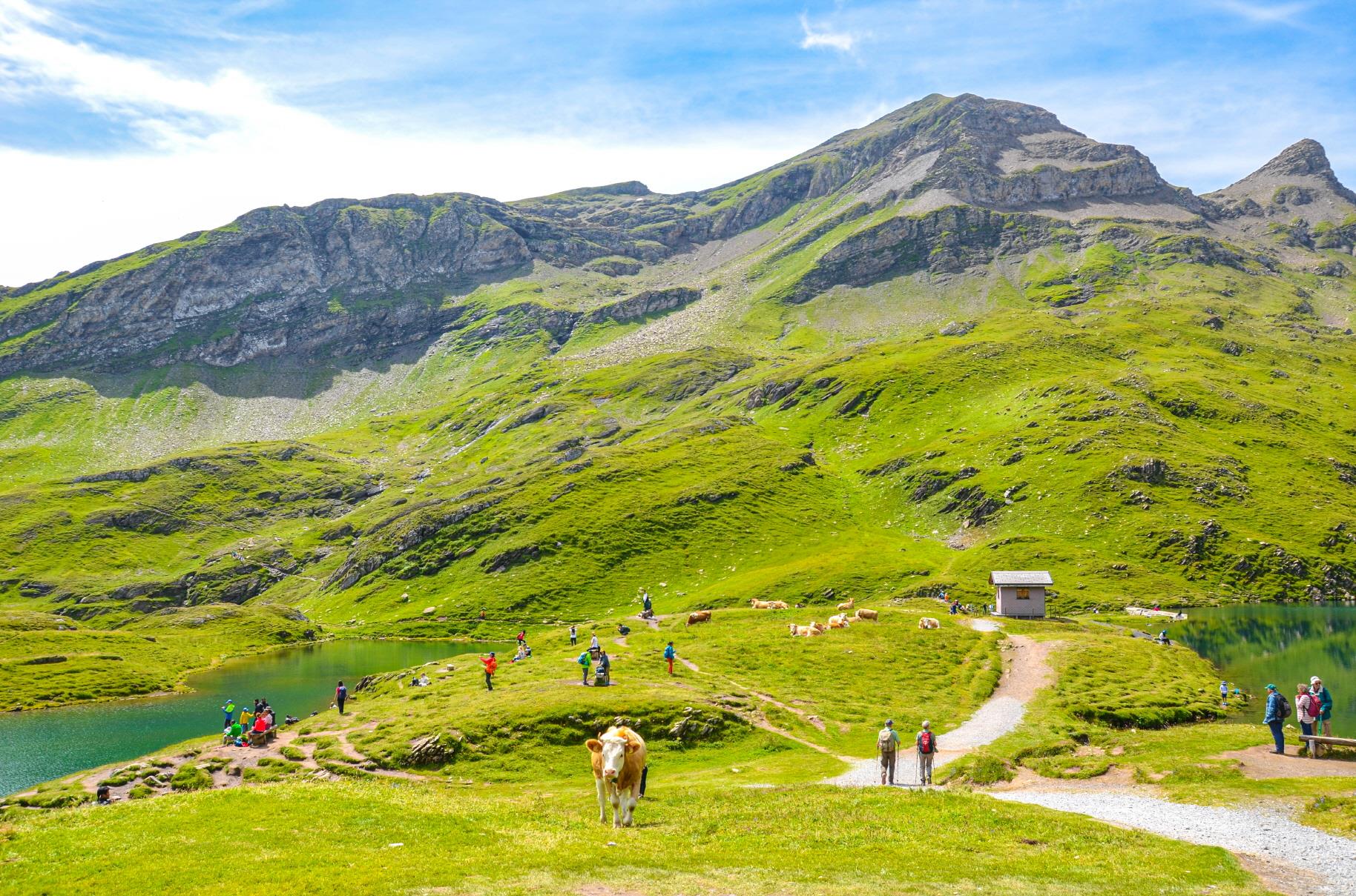 바흐알프제 트레킹  Bachalpsee trekking