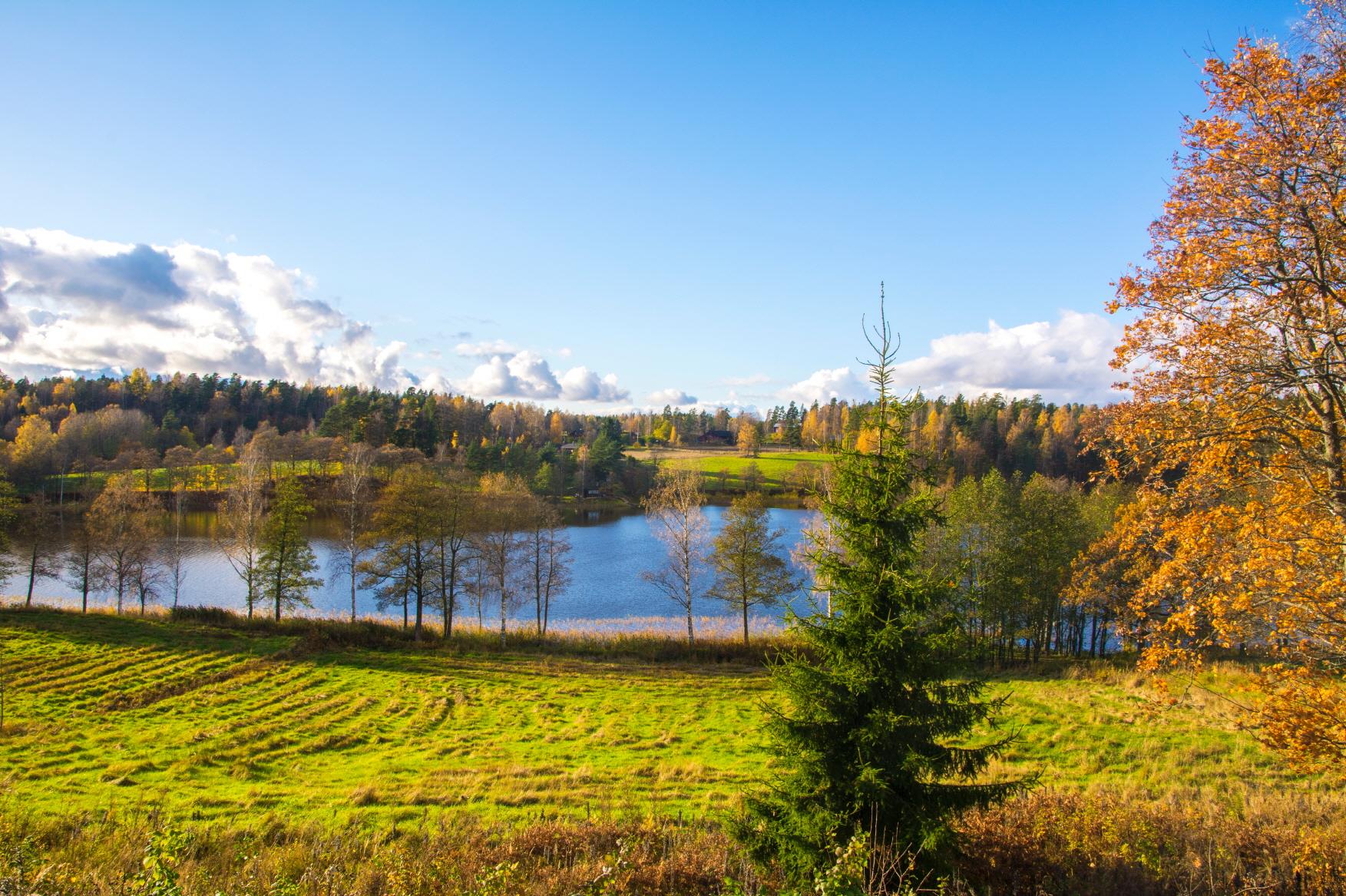 눅시오 국립공원  Nuuksio National Park