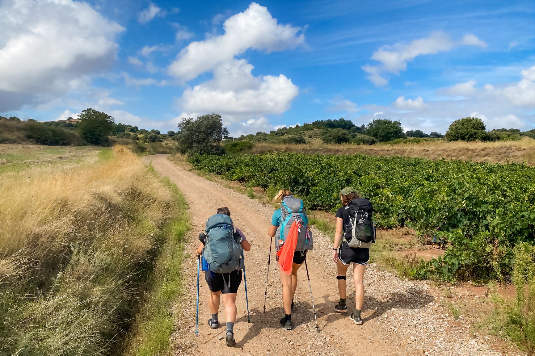 라모라-바롤로 트레킹  Langhe area trekking and walking