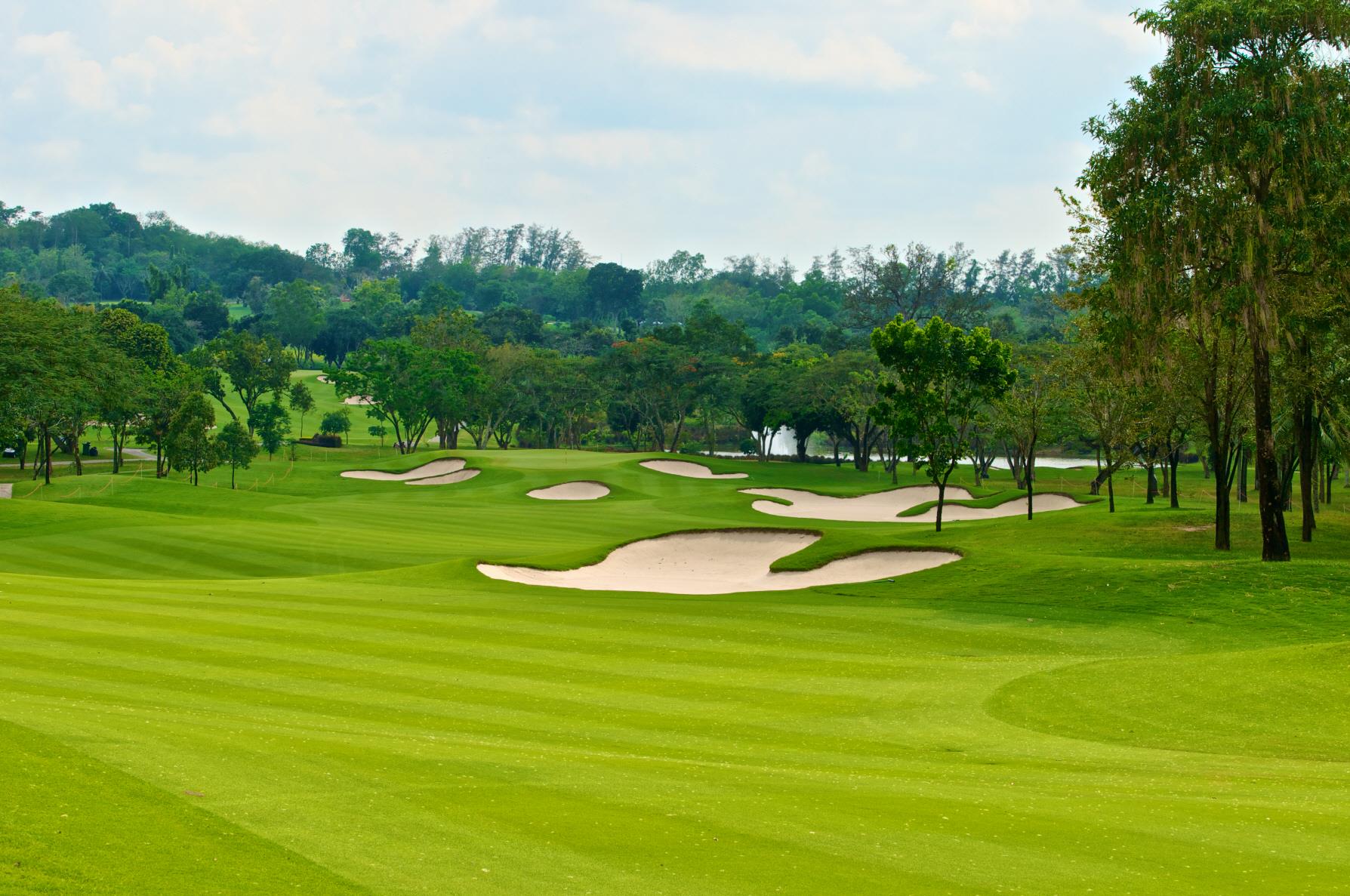 골프 라운딩 (Golf course)