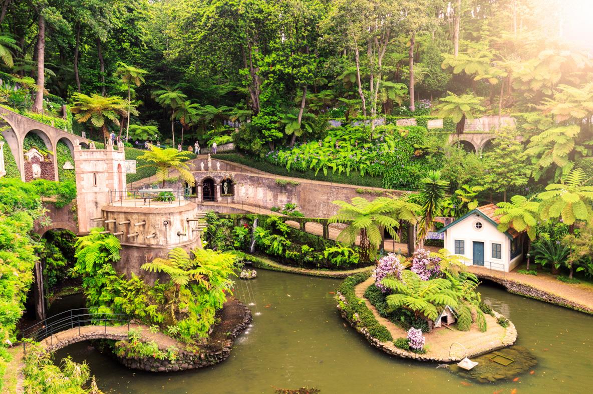몬테팔라스 열대정원  Jardin Tropical Monte Palace