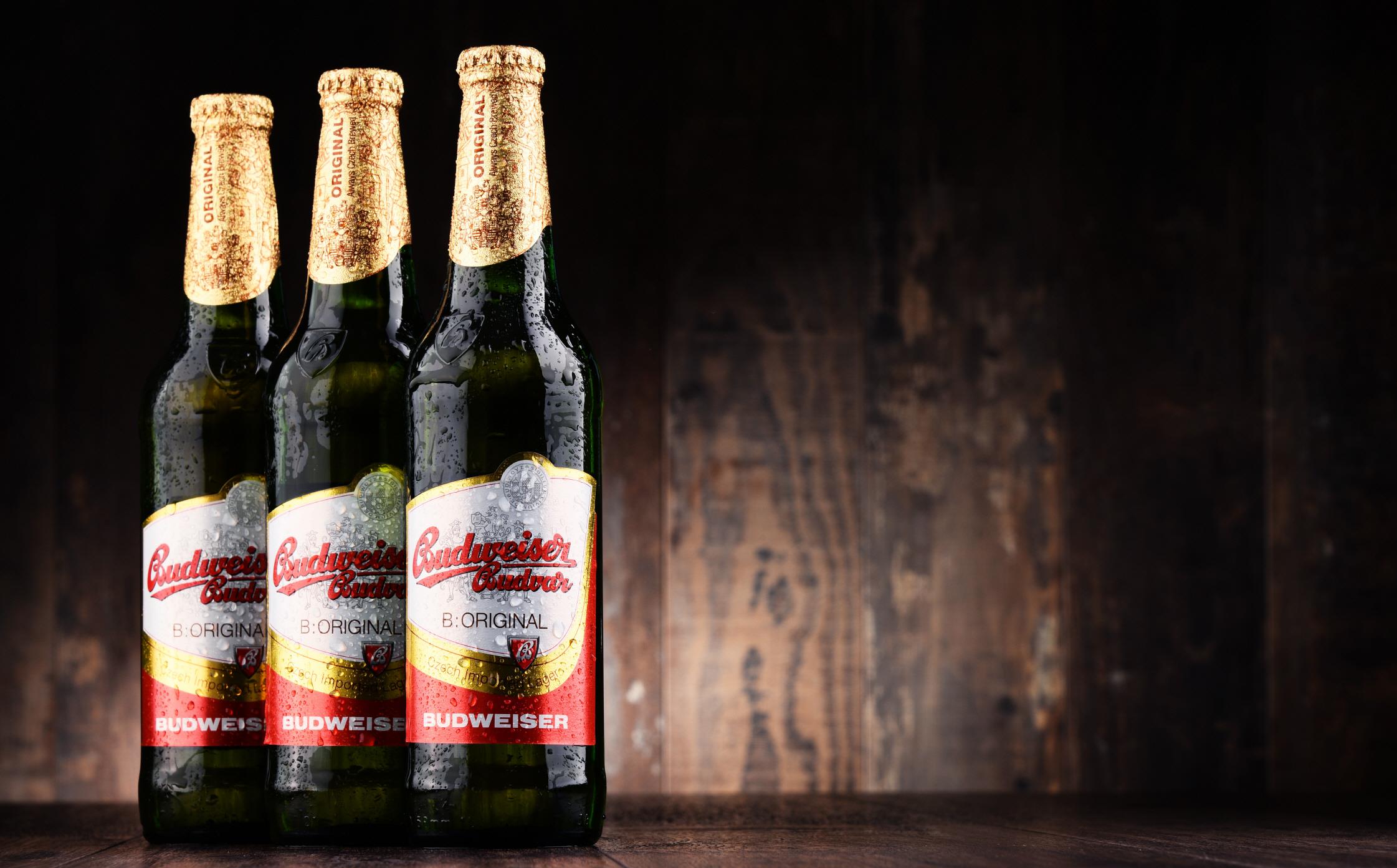 부드바르 브루어리  Budweiser Budvar Brewery