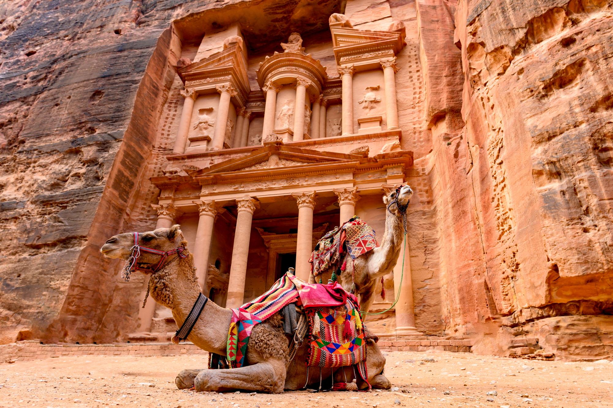 페트라 낙타투어, 마차투어  Camel Riding and Horse carriage