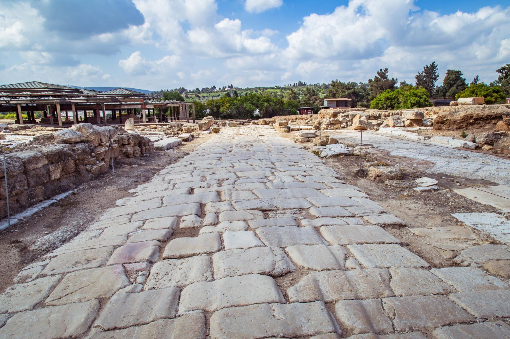 찌포리 유적  Sepphoris National Park