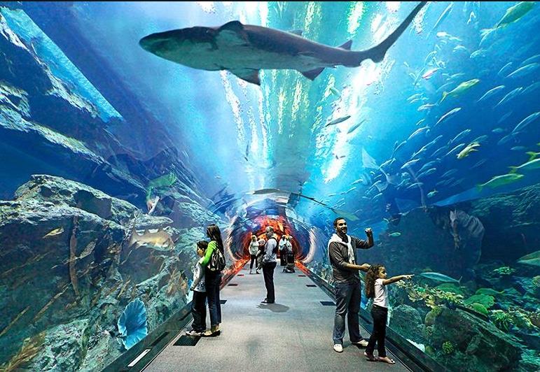 두바이 수족관  Dubai Aquarium