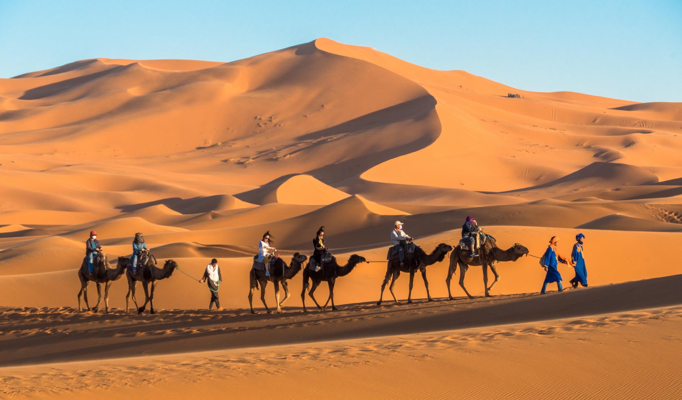 사막사파리 낙타투어  Dubai Desert Safari Tour