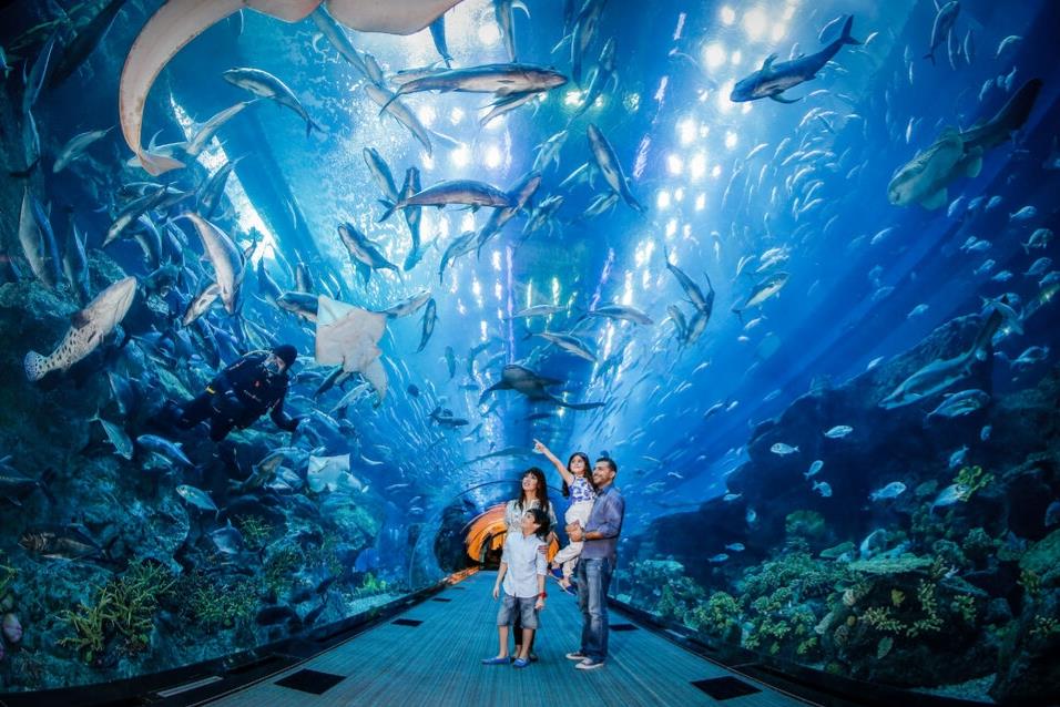 두바이 수족관  Dubai Aquarium