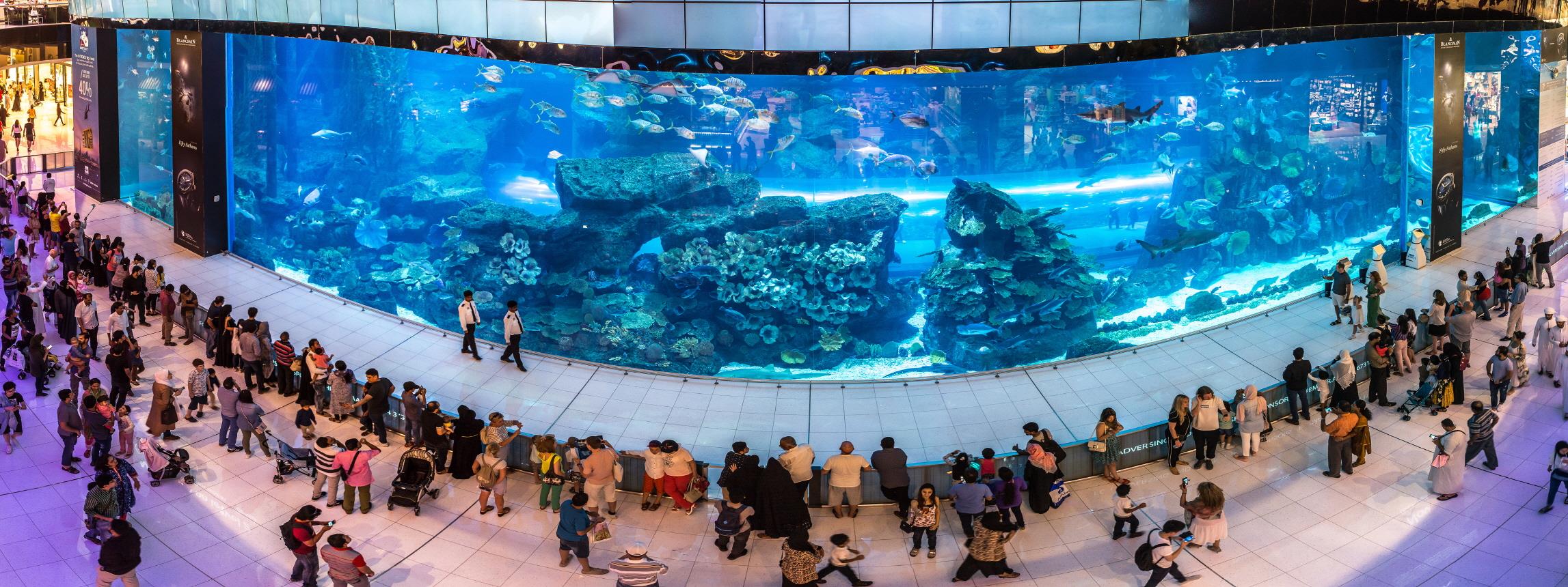 두바이 수족관  Dubai Aquarium