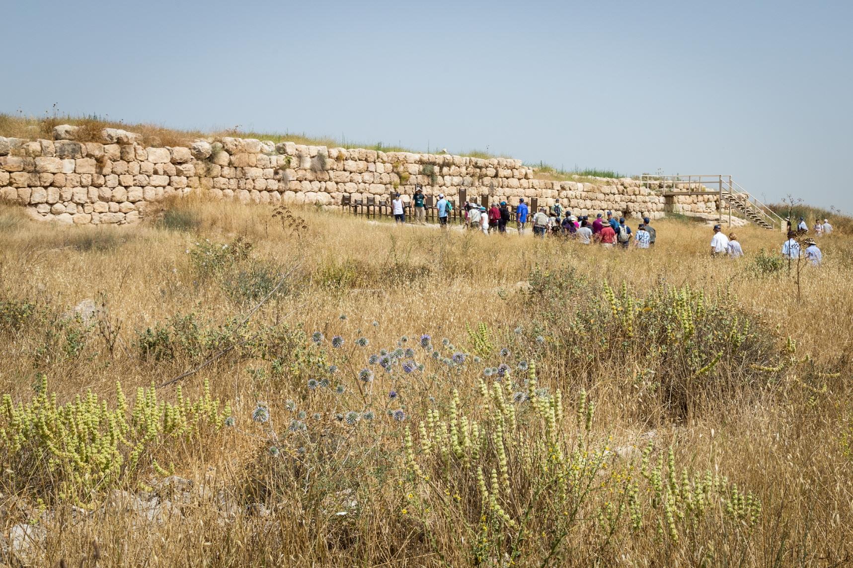 라기스  Lachish Valley