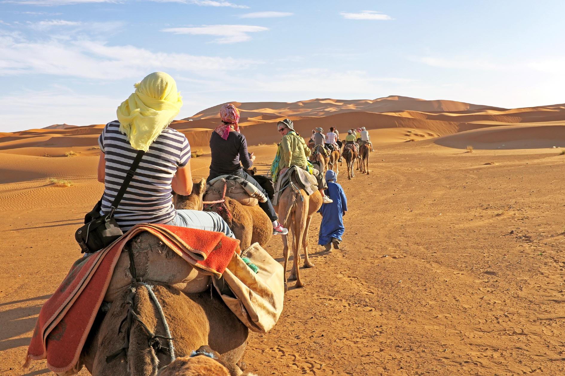 사막사파리 낙타투어  Dubai Desert Safari Tour